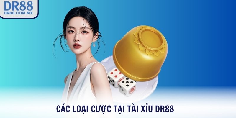 Các loại cược tại Tài Xỉu DR88