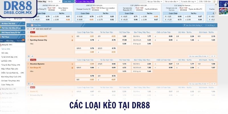 Các loại kèo tại DR88