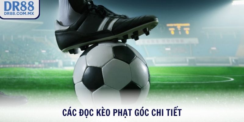 Cách đọc kèo phạt góc chi tiết