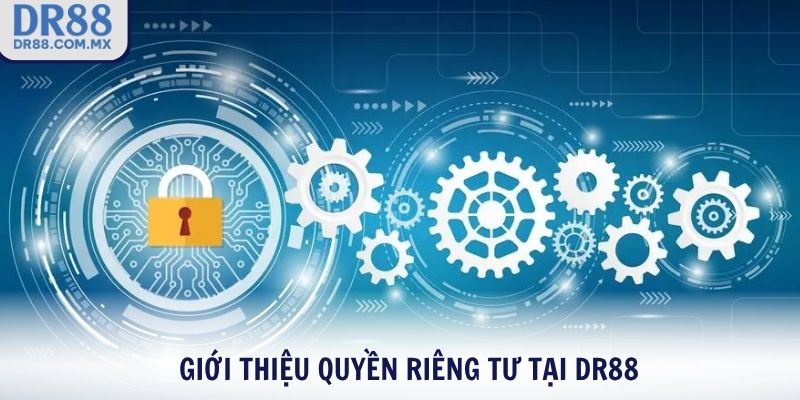 Giới thiệu quyền riêng tư tại DR88