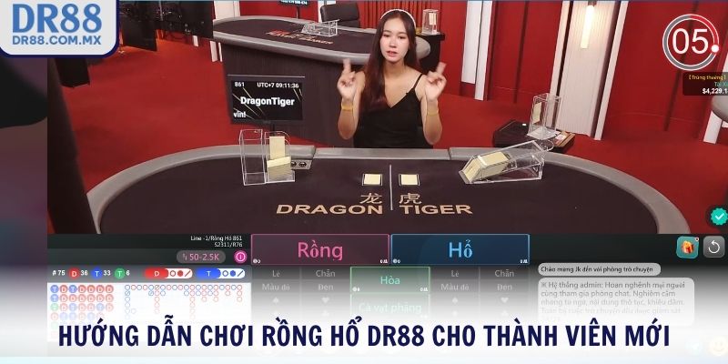Hướng dẫn chơi Rồng Hổ DR88 cho thành viên mới
